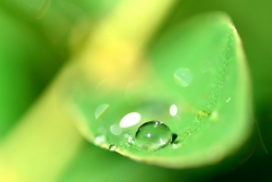 201406150024.JPG